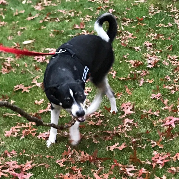 Meet your Posher, Michael - Picture 1 of 1